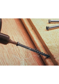 Co2 Grandis <sup>&reg;</sup> Stainless Steel Screws